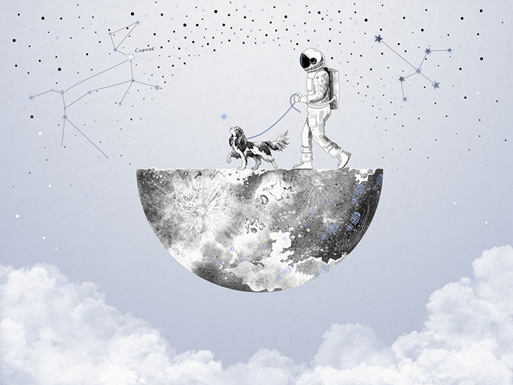 Коллекция COSMOS 25