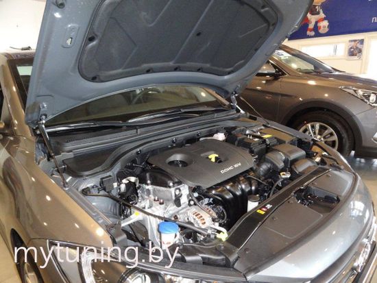 Амортизаторы (упоры) капота для Hyundai Elantra 6(VI)