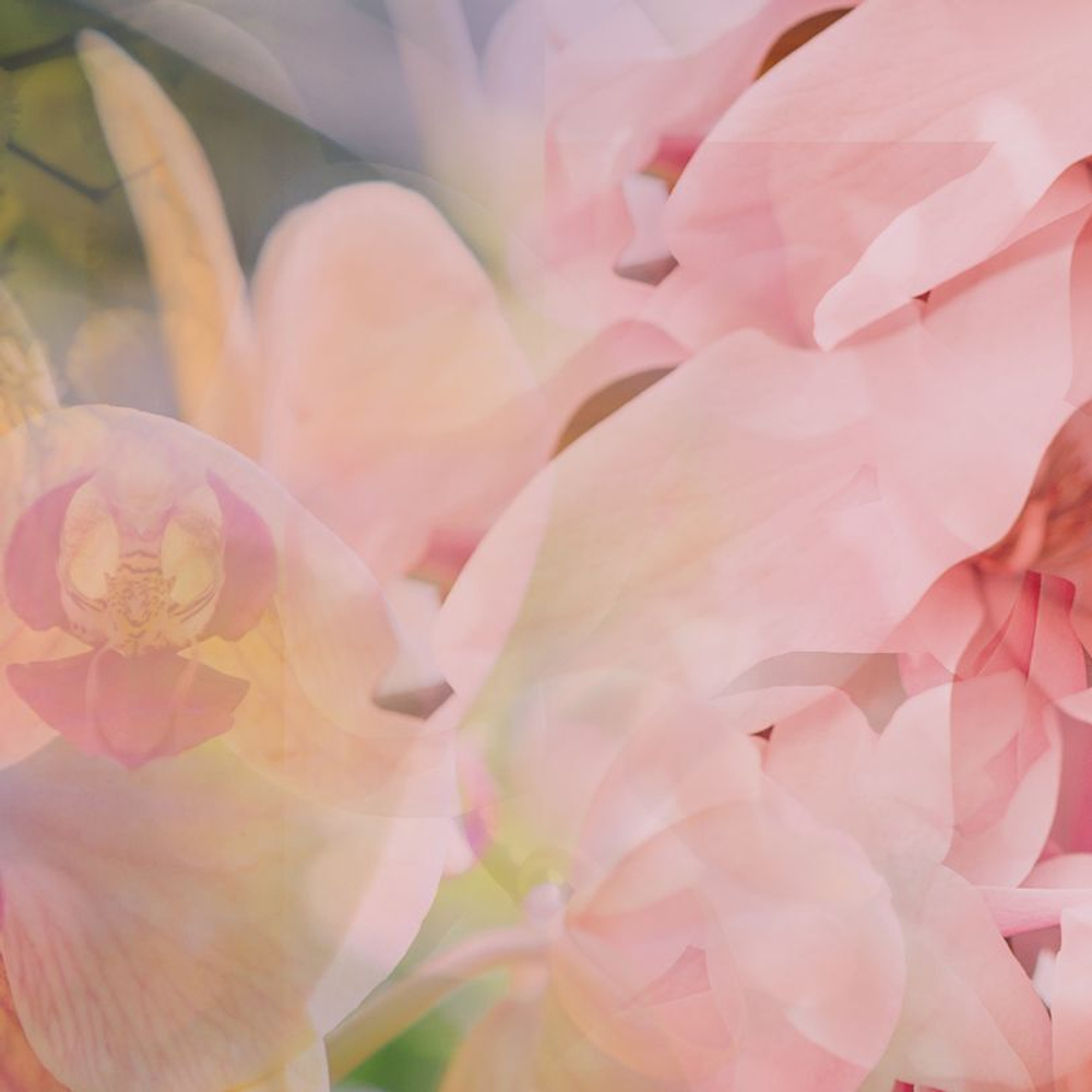 Dr. Vranjes Magnolia Orchidea спрей-ароматизатор воздуха (аромат магнолия и орхидея)