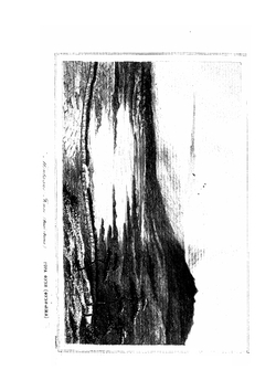 Путешествие по Японии, или Описание Японской империи, в физическом, географическом и историческом отношениях. Том 1 | Ф. Зибольда