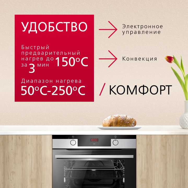 Духовой шкаф Hansa BakingPro BOEIS694077