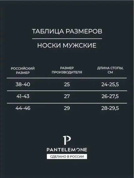 Носки мужские Pantelemone PN-100 ,синие