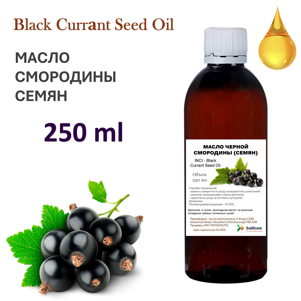 Масло чёрной смородины семян, рафинированное