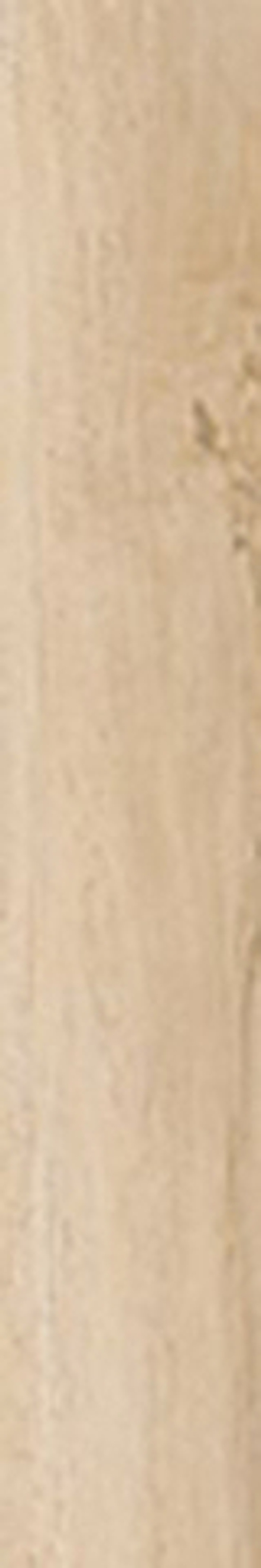 Керамогранит Antique Clay Fondi Nat.Rettificat