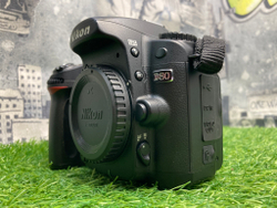Nikon D80