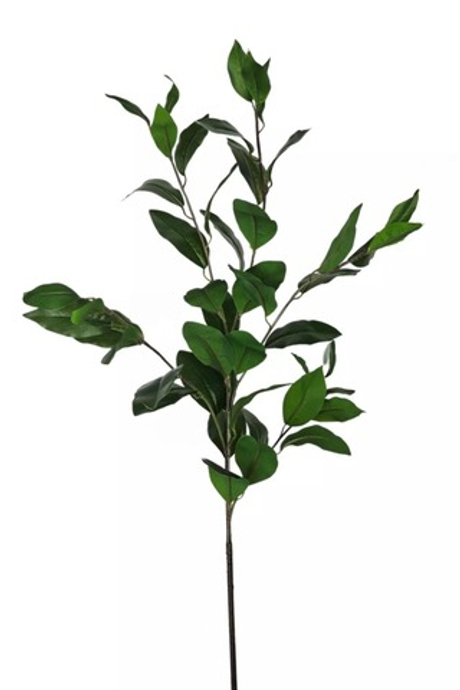 Ветка с лавровыми листьями (5 ответвлений)