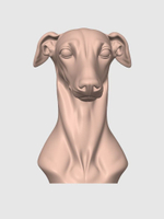 Борзая