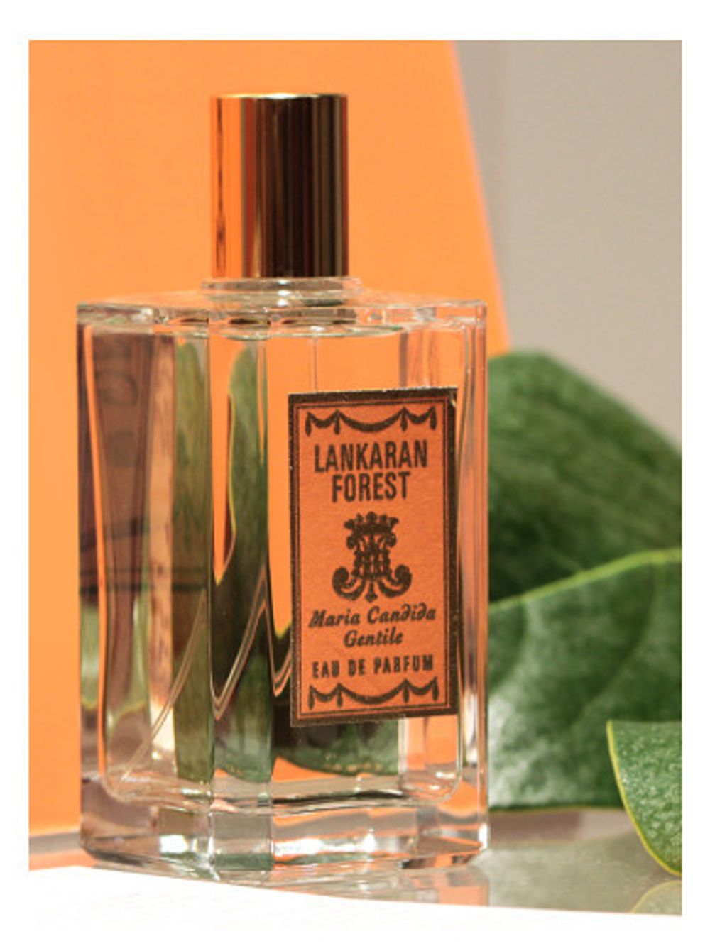 Maria Candida Gentile Lankaran Forest