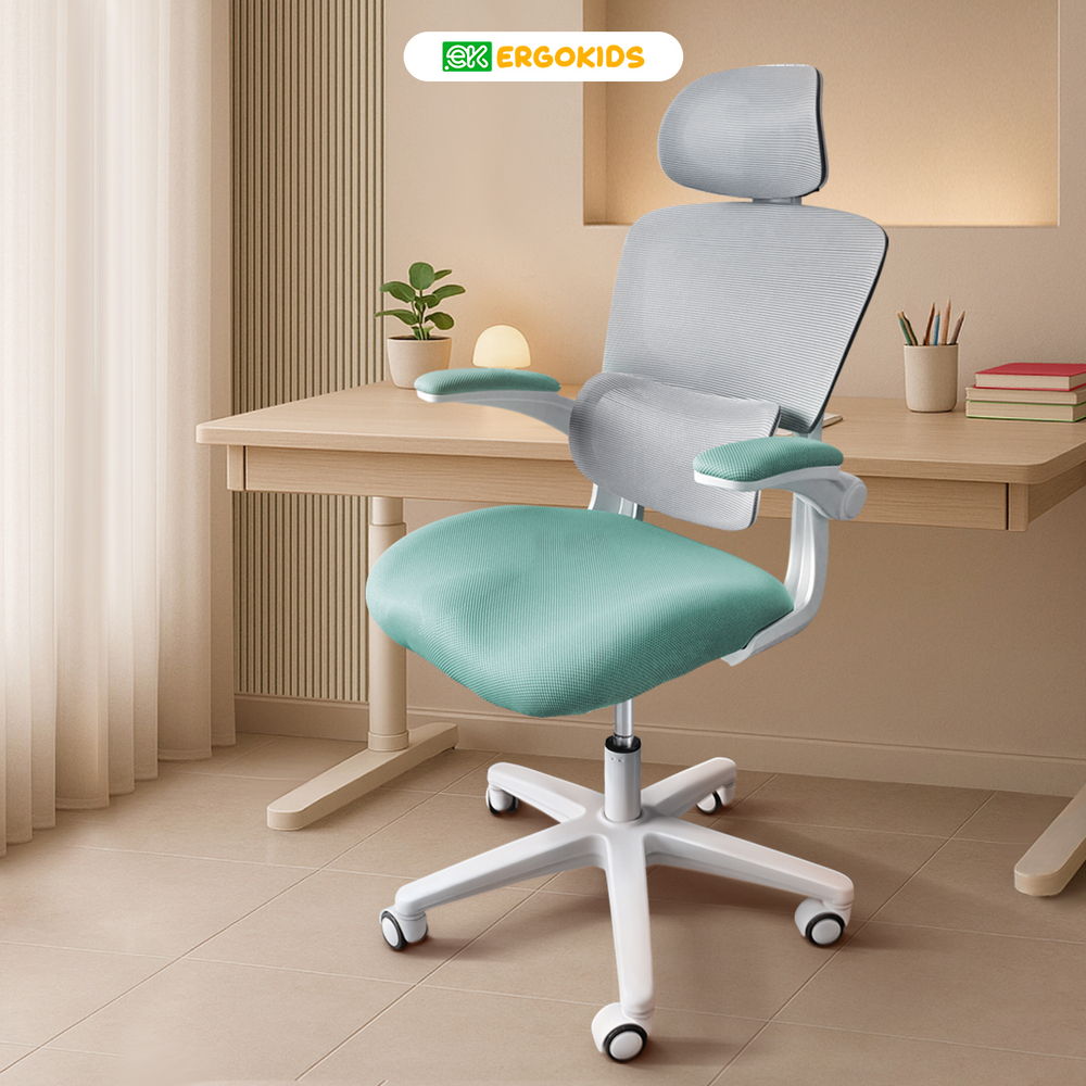 Детское кресло Ergokids Teen (T - 1)