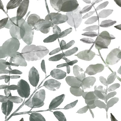 акварельный эвкалипт