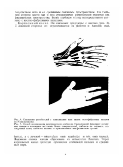 Хирургия кисти и пальцев | Б. Бойчев