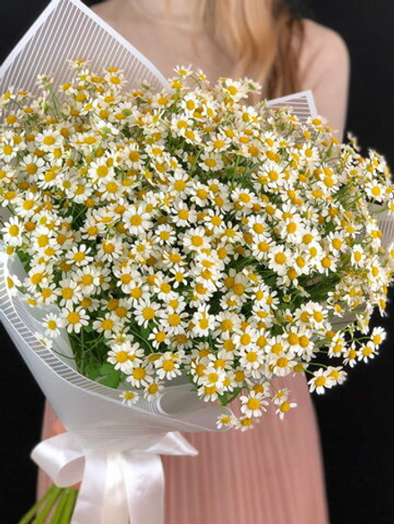 Букет живых цветов из ромашек Луговой