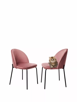 Стулья для кухни мягкие 2 шт. со спинкой. Чёрные ножки.