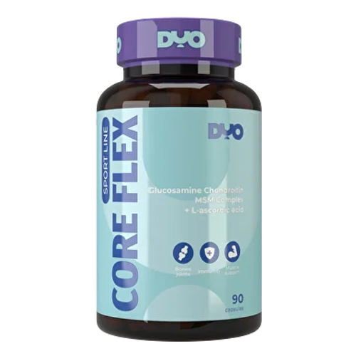 Glucosamine Chondroitin + MSM