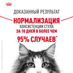 Royal Canin Digest Sensitive Корм консервированный для взрослых кошек в соусе 85г