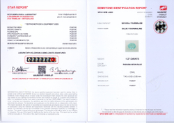 Турмалин Параиба, Овал, 1 шт. / 1,37 карат, Мозамбик