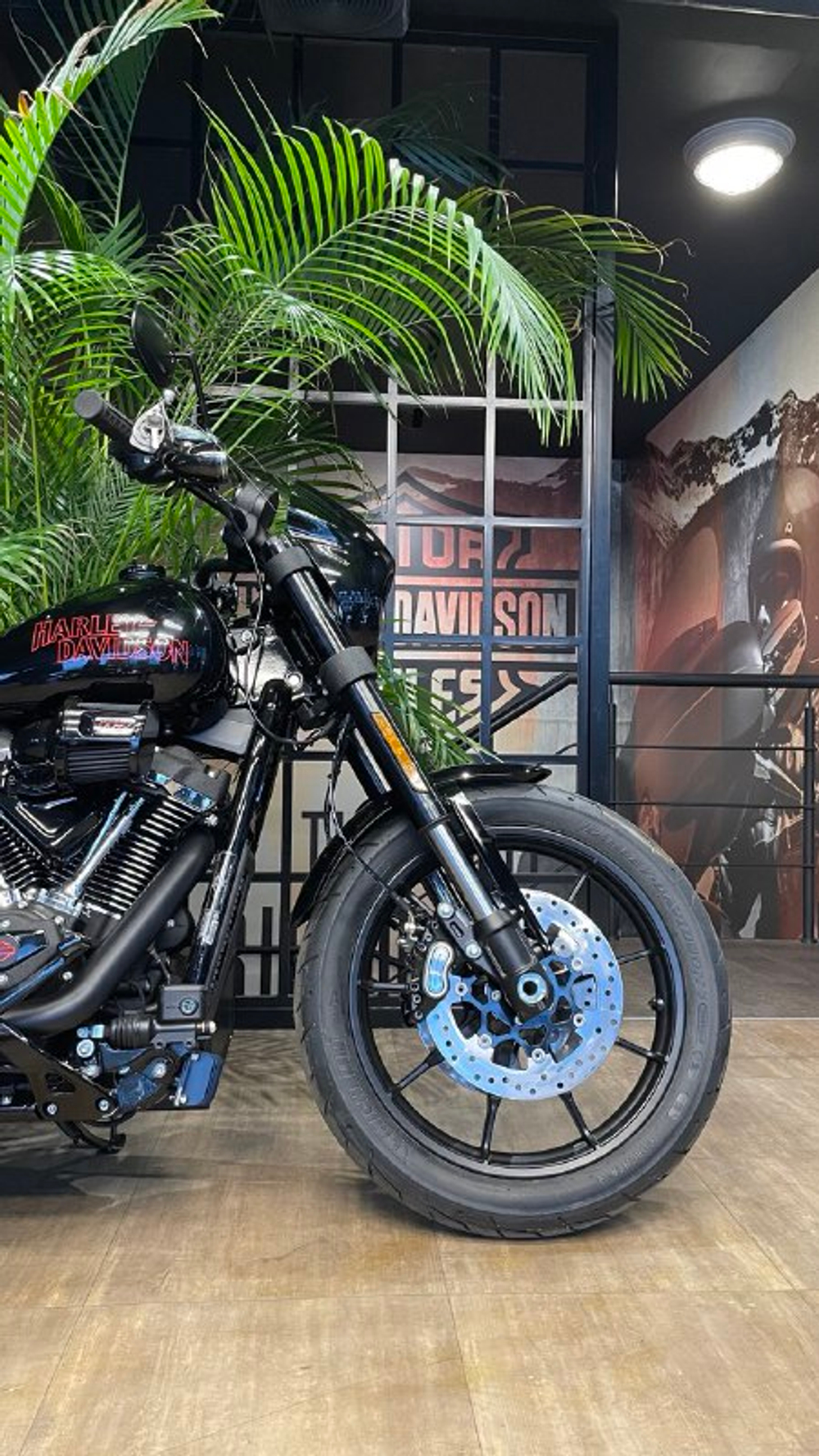 Harley-Davidson Low Rider, 2025