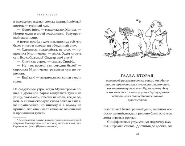 Шляпа волшебника