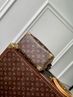 Louis Vuitton Speedy Trunk 20