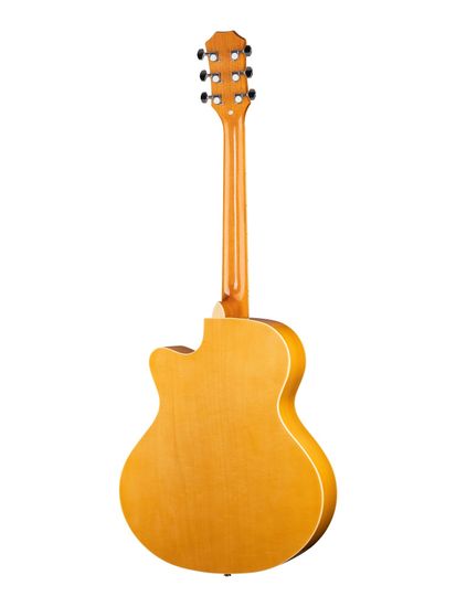 Акустическая гитара Ramis RA-A01C