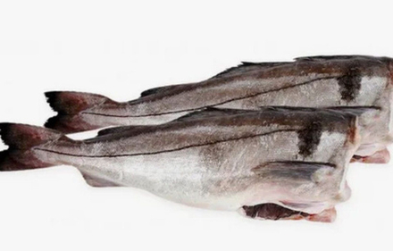 Пикша с/м б/г 0,5-1,0 "Капитан" 1/12кг