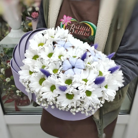 Люлька с хризантемами сорта "KENNEDY WHITE", голубым хлопком и лагурусом