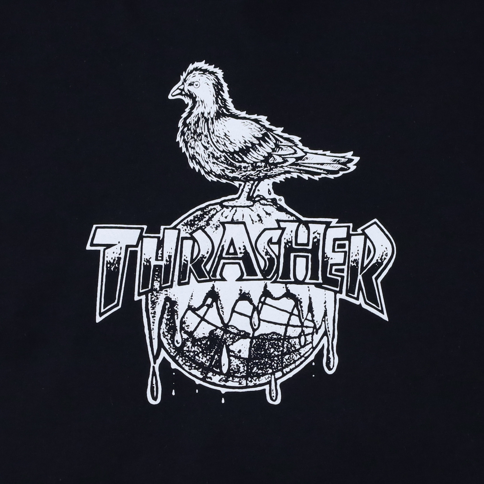 Футболка Thrasher Cover The Earth T-Shirt (black) артикул: - купить в магазине Дайс