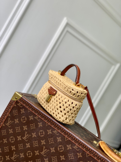 Louis Vuitton Vanity Chain Pouch