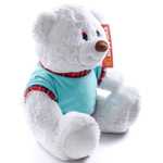 Медведь в футболке45 см в ассортименте (Нижний Новгород)