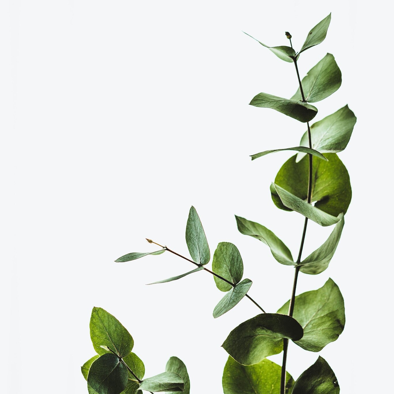 Пусть ваша жизнь изменится!