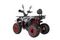 Квадроцикл YACOTA Sirius 125