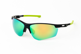 Очки солнцезащитные INVU IA22523D с чехлом