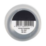 КРАСКА АЭРОЗОЛЬ АЛКИД. ЧЕРНАЯ ГЛЯНЦ. RAL 9005 "RAYDAY" 520 МЛ (12) RD-051