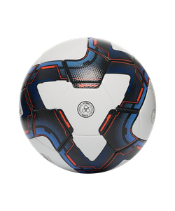 Мяч футзальный Inspire №4, белый