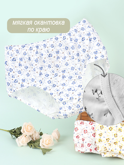Трусы слипы хлопковые набор из 5 штук