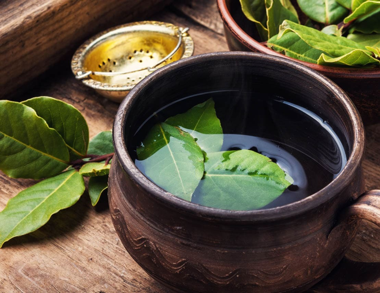 Лавр – благородный и полезный!..