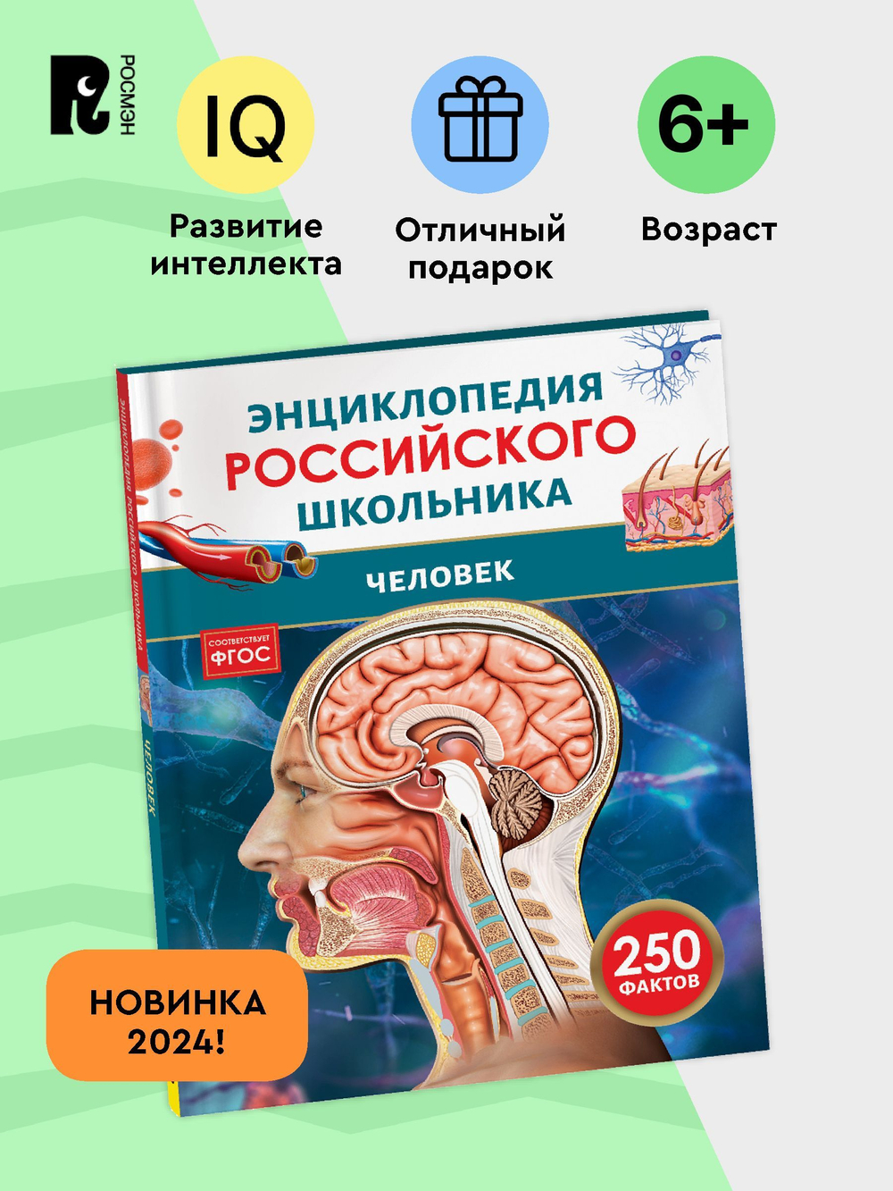 Человек. Энциклопедия российского школьника