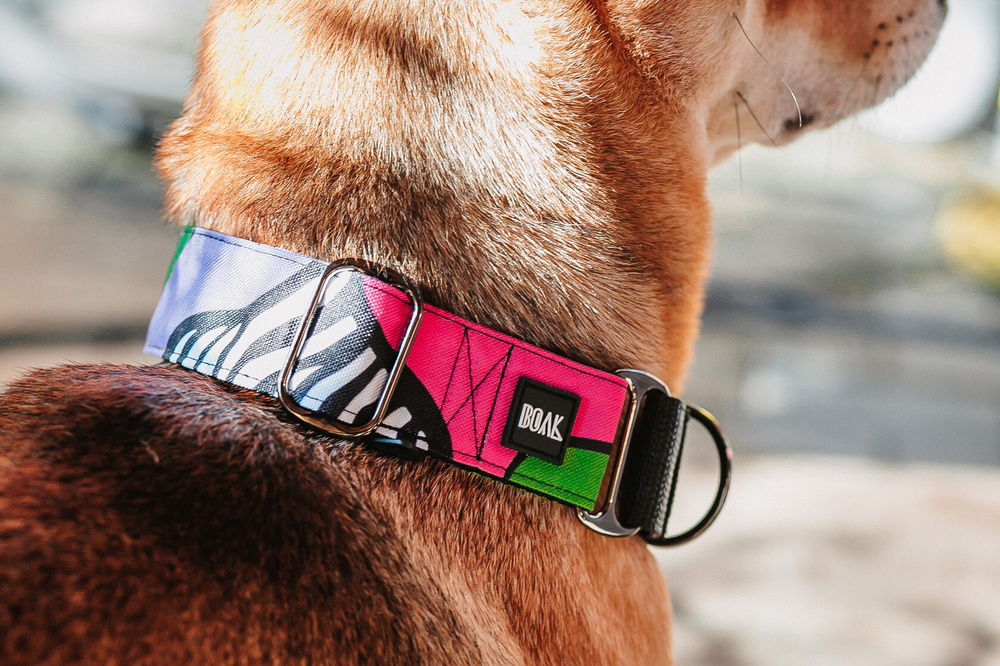 Ошейник Вайб 90-х