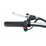 Электросамокат Easy Трицикл 350W Черный