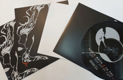Винтажная виниловая пластинка LP Doogie White and La Paz The Dark And The Light (Picture Disc) (Poland 2013)