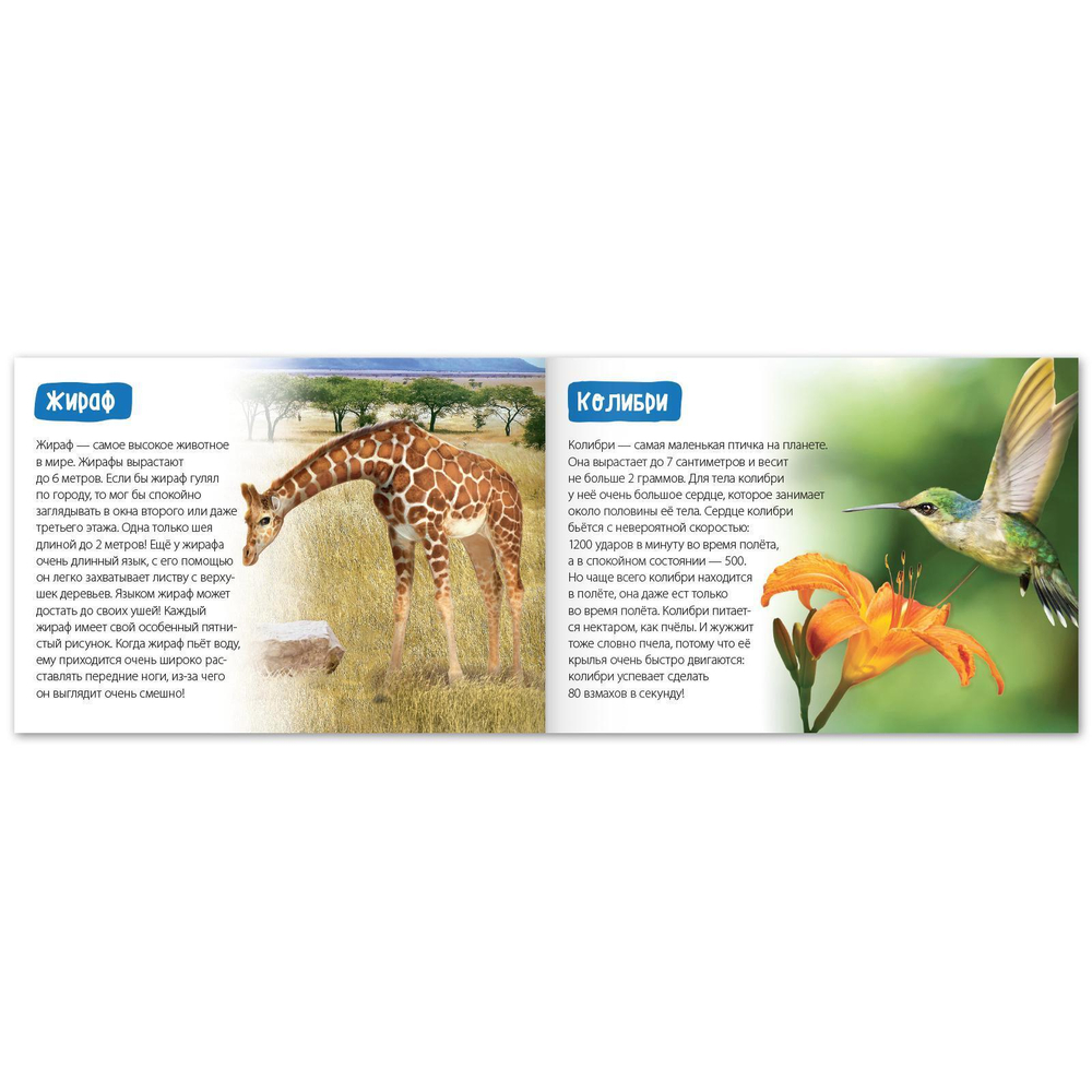 Обучающие книги набор «Удивительный мир» 6 шт.