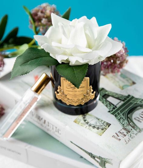 Роза цвета слоновая кость в черной вазе, Cote Noire