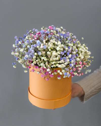 Коробка с гипсофилой Микс