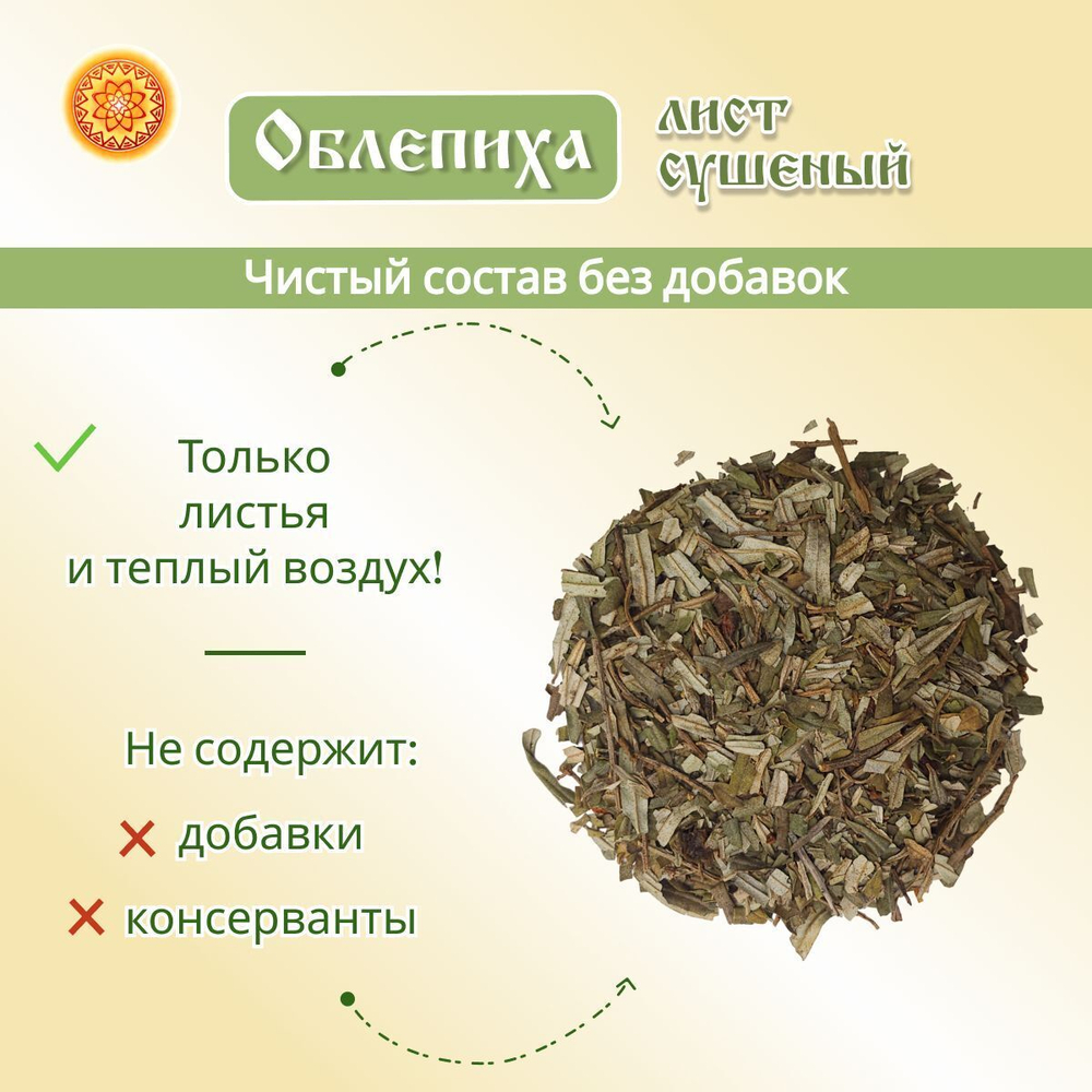 Лист облепихи.