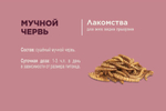 Лакомство МУЧНОЙ ЧЕРВЬ для всеядных грызунов Little One, 70г