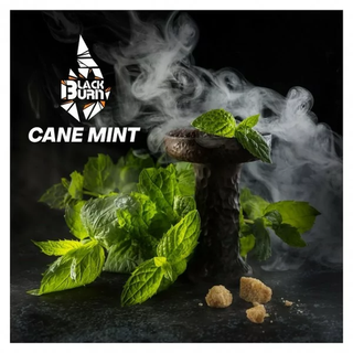 Табак BlackBurn - Cane Mint (25 г)