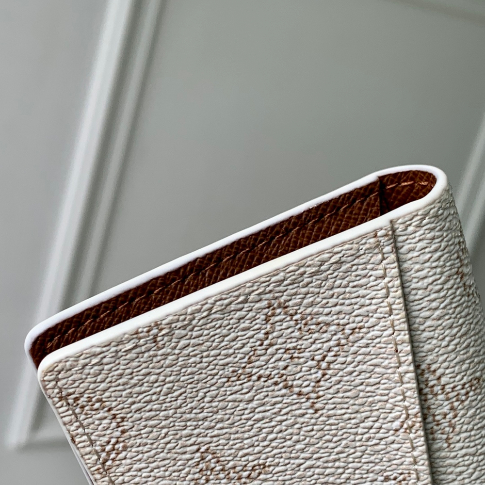 Louis Vuitton Pocket Organizer