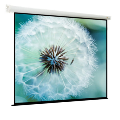 Экран Viewscreen Breston EBR-16108