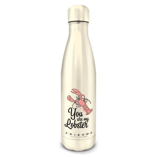 Фляга-термос Friends (You are my Lobster) Metal Drinks Bottle 540ml MDB25499