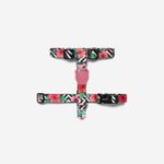 Шлейка MAHALO Zee.Dog